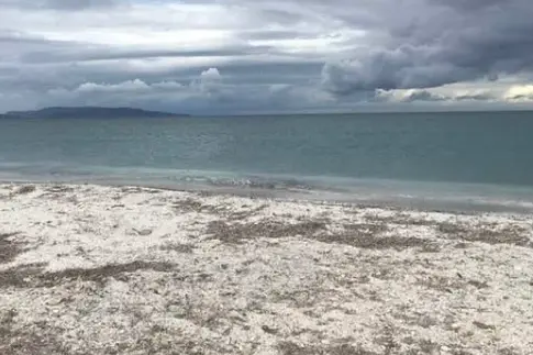 Spiaggia di Pazzona (foto concessa)