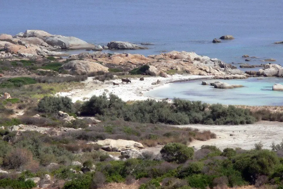 Uno scorcio dell'isola dell'Asinara