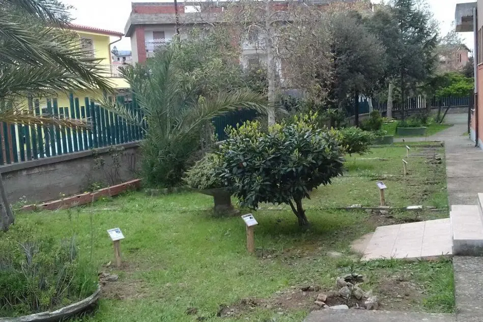 Il giardino della scuola trasformato in orto botanico