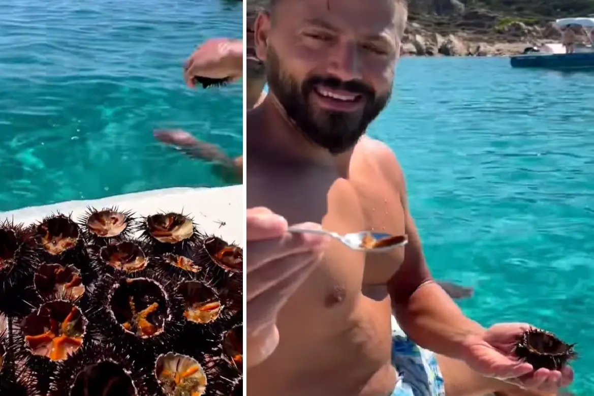 I ricci mangiati in barca in Sardegna (Frame da video)