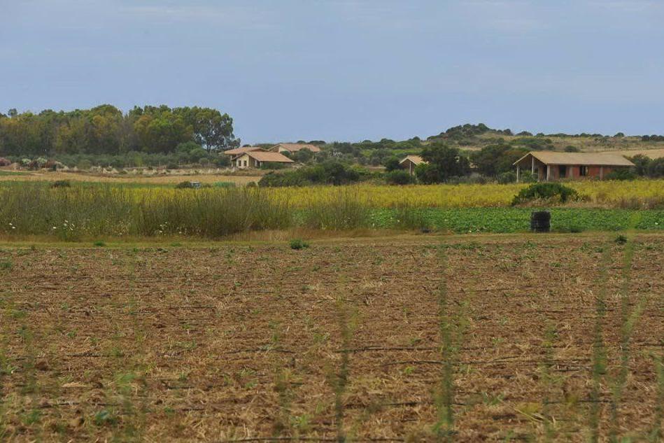 Le case agricole lungo il Sinis (Foto S.Pinna)