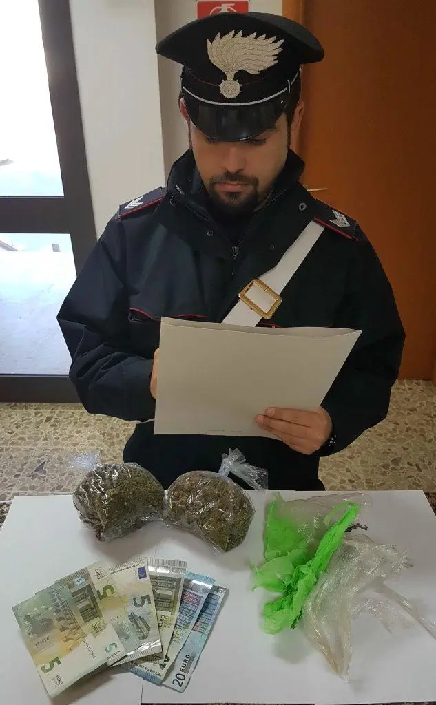 La droga trovata durante le perquisizioni