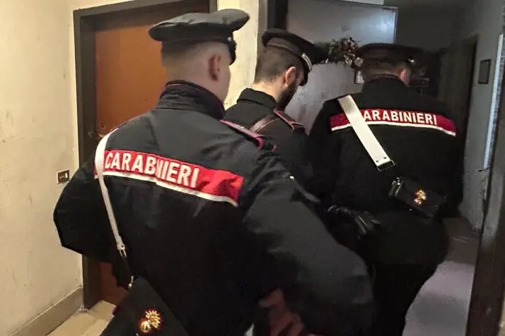 Un intervento dei carabinieri (foto Ansa)