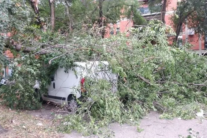 Auto colpita da un albero (foto L'Unione Sarda-Pala)