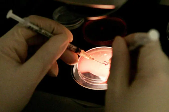 20050620 - ROMA -CRO- PROCREAZIONE, 110 ESPERTI SCRIVONO A CIAMPI: CAMBIARE LEGGE-Una dottoressa del Centro mediterraneo per la fecondazione assistita di Napoli, in sala operatoria con il liquido follicolare appena prelevato. Dalla provetta verranno estratti gli ovociti/ANSA/FUSCO