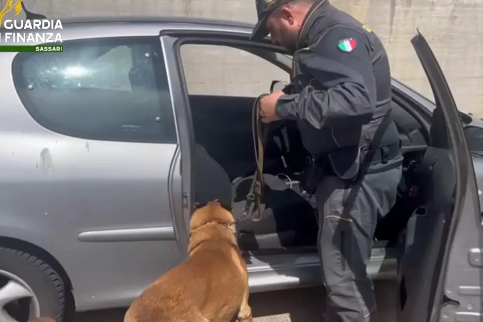 Olbia, il fiuto del cane-finanziere scova un carico di droga in un'auto