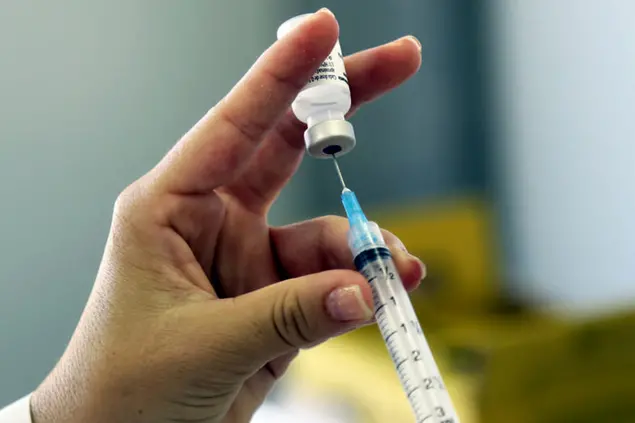 Vaccino anti-influenza (Ansa)
