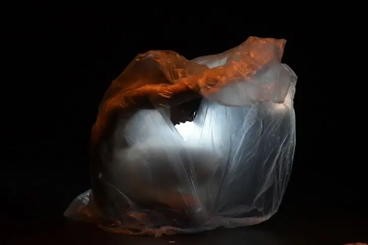 La danza di Mandala Dance Company (foto concessa)