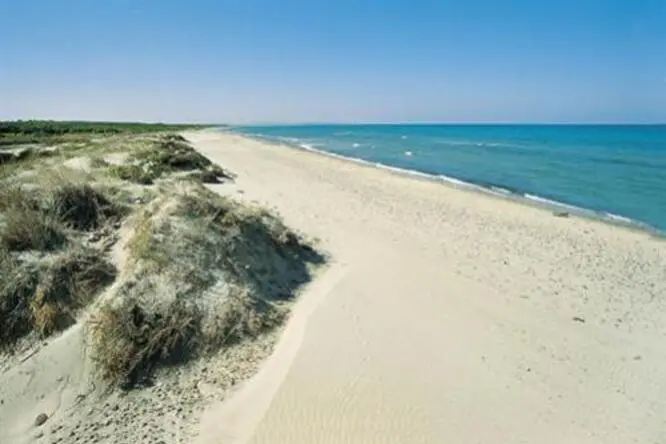 La spiaggia di Platamona - SS (archivio L'Unione Sarda)