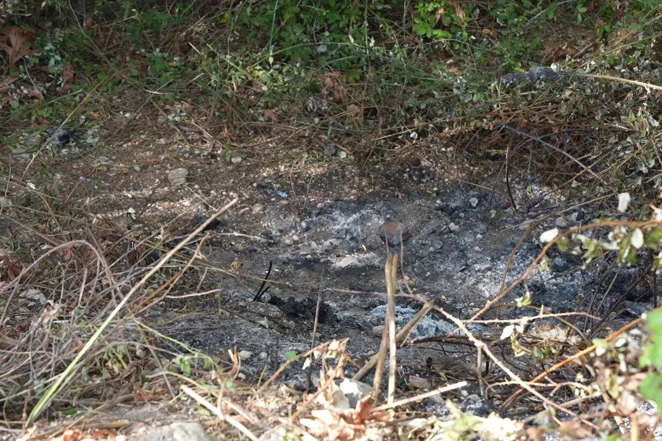 Il punto in cui è stato bruciato il cadavere (foto Floris)