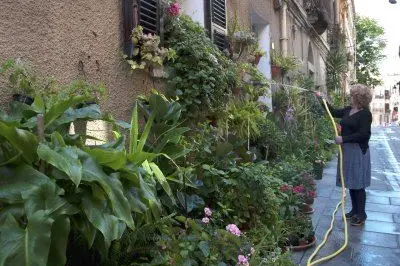 Un giardino fiorito sulla via Piccioni