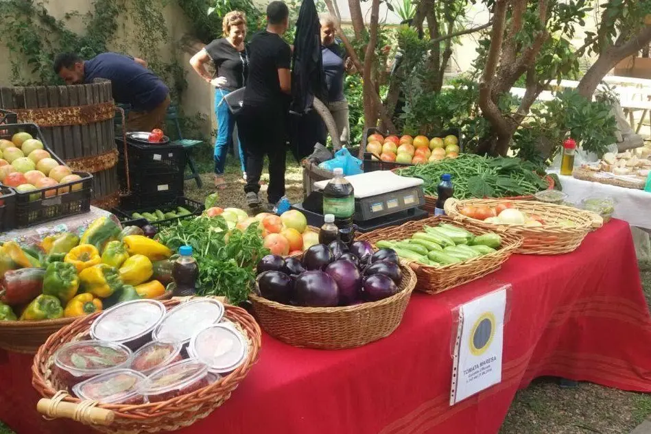Sa tomata maresa con zucchine e melanzane