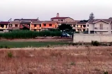 Settimo, branco di cinghiali tra le case e le campagne alla ricerca di acqua e cibo