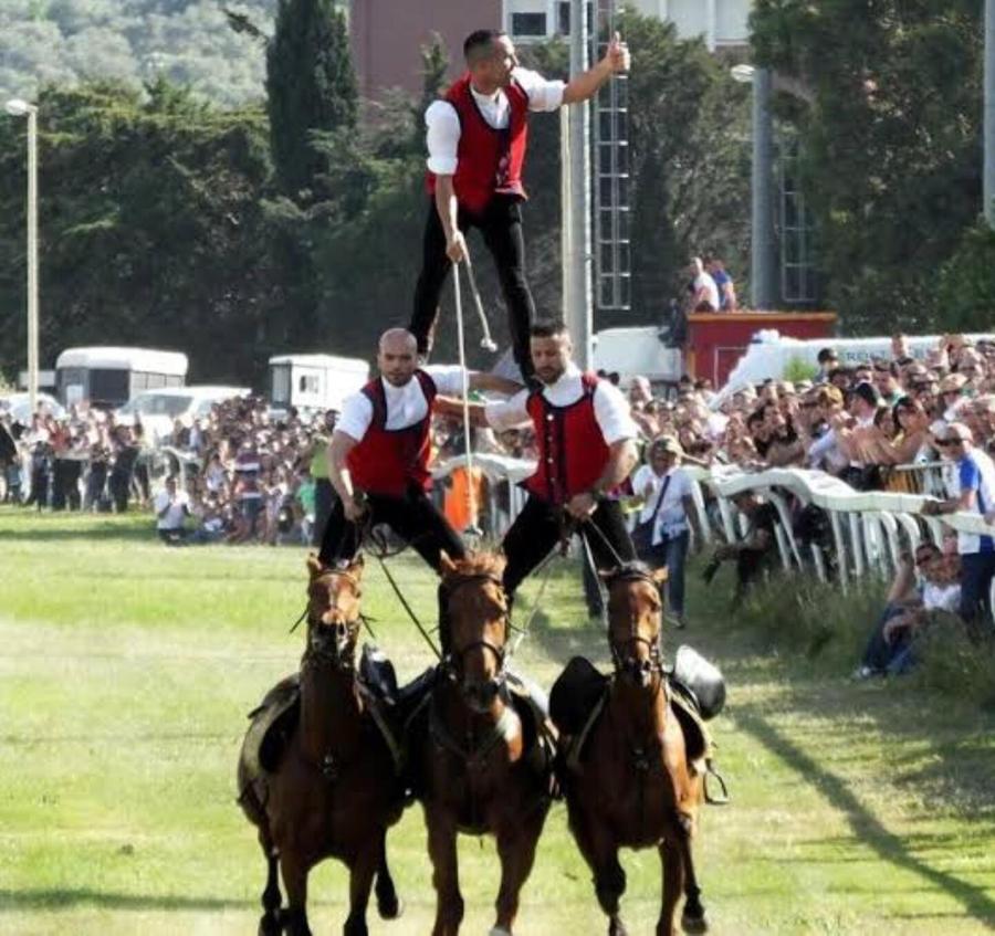 Pariglie scatenate alla Cavalcata Sarda
