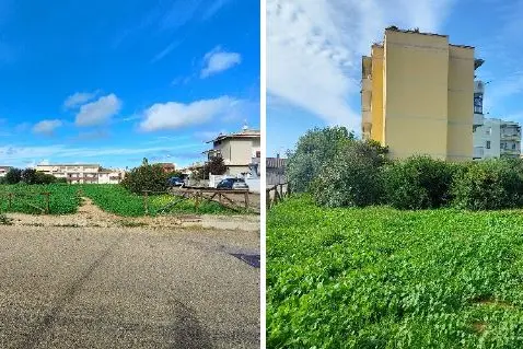 Un'area verde a Porto Torres (foto Pala)