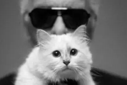 Lagerfeld con la sua gattina Choupette (foto da Instagram)
