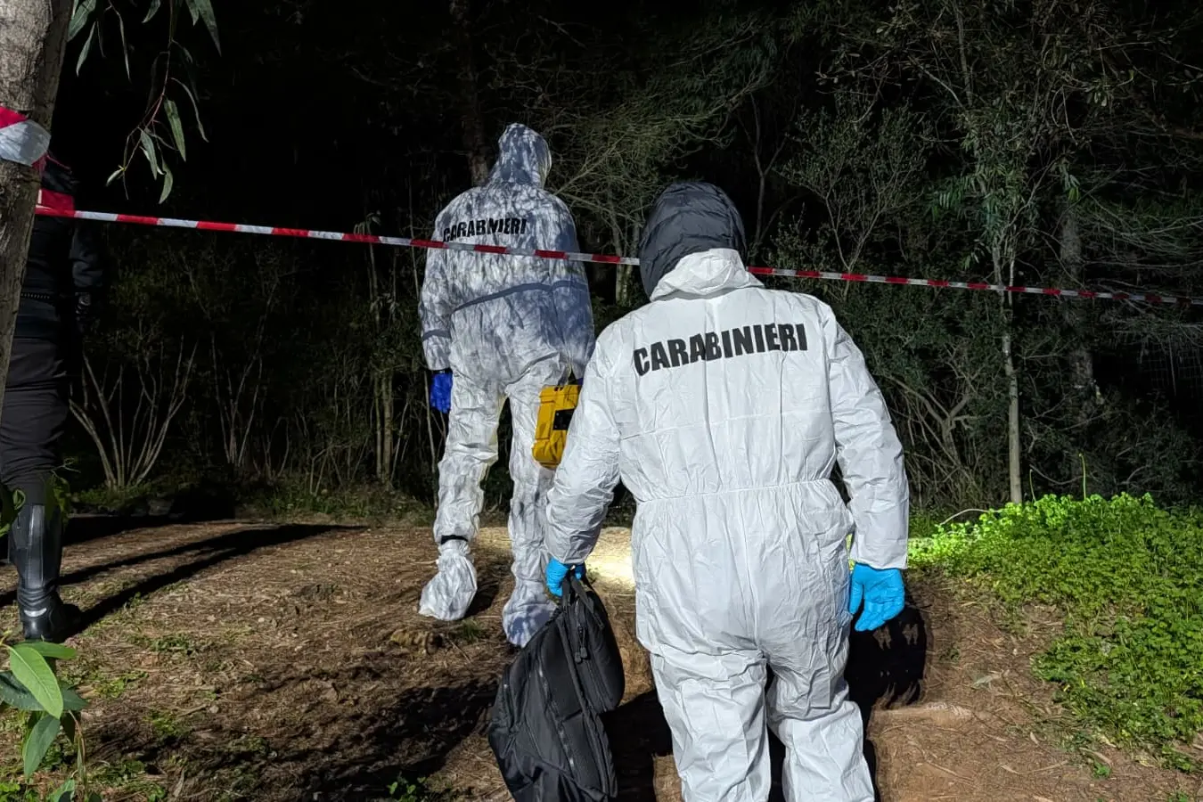 I Ris nel bosco Rosmarino