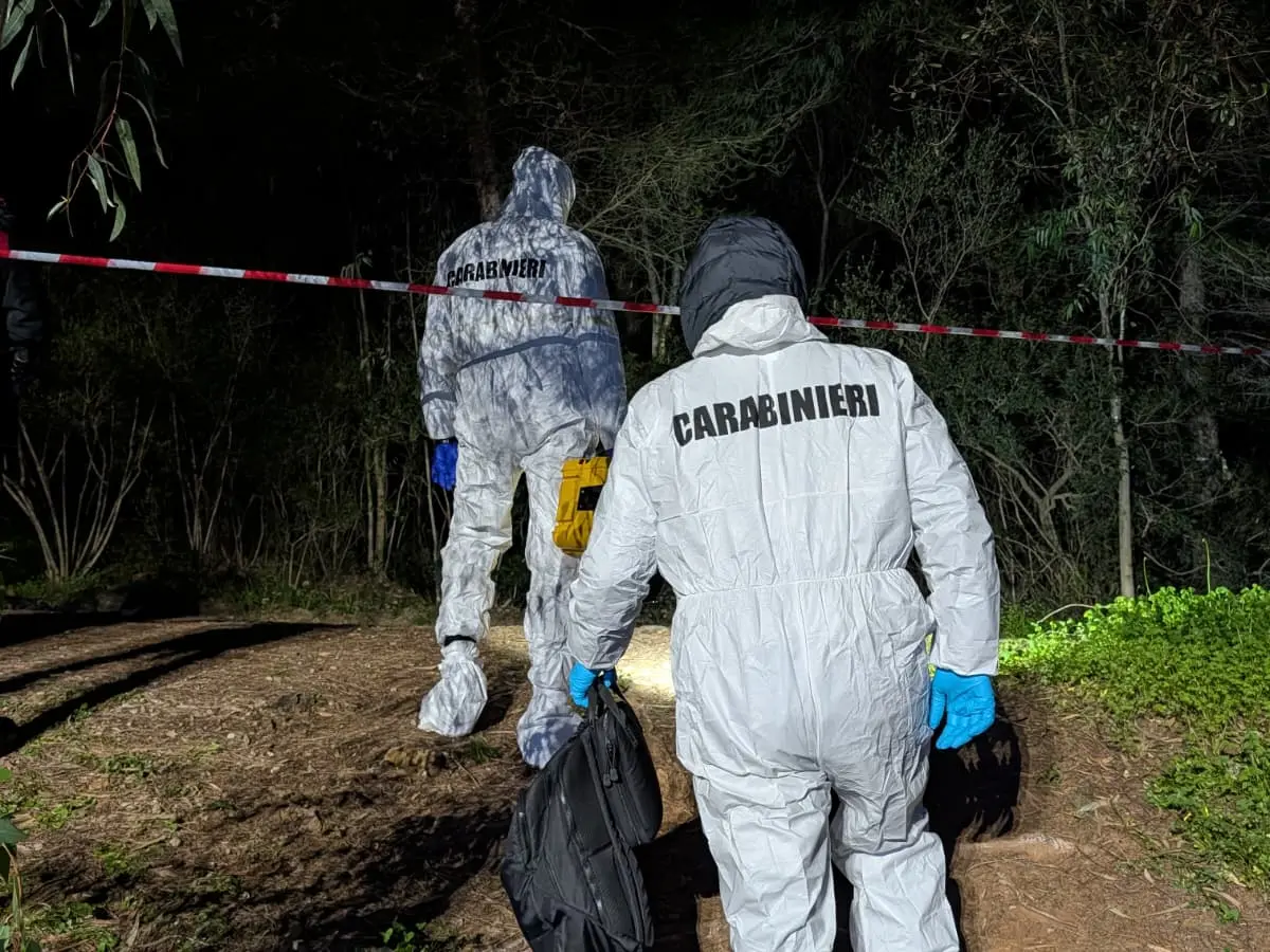 I Ris nel bosco Rosmarino