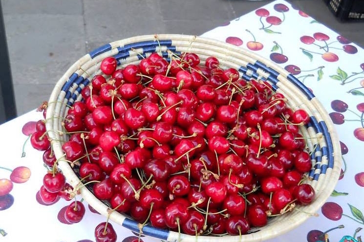 Le ciliegie di Bonnanaro (foto Antonio Caria)