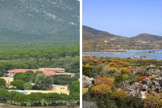 Parchi Porto Conte e dell'Asinara (foto Pala)