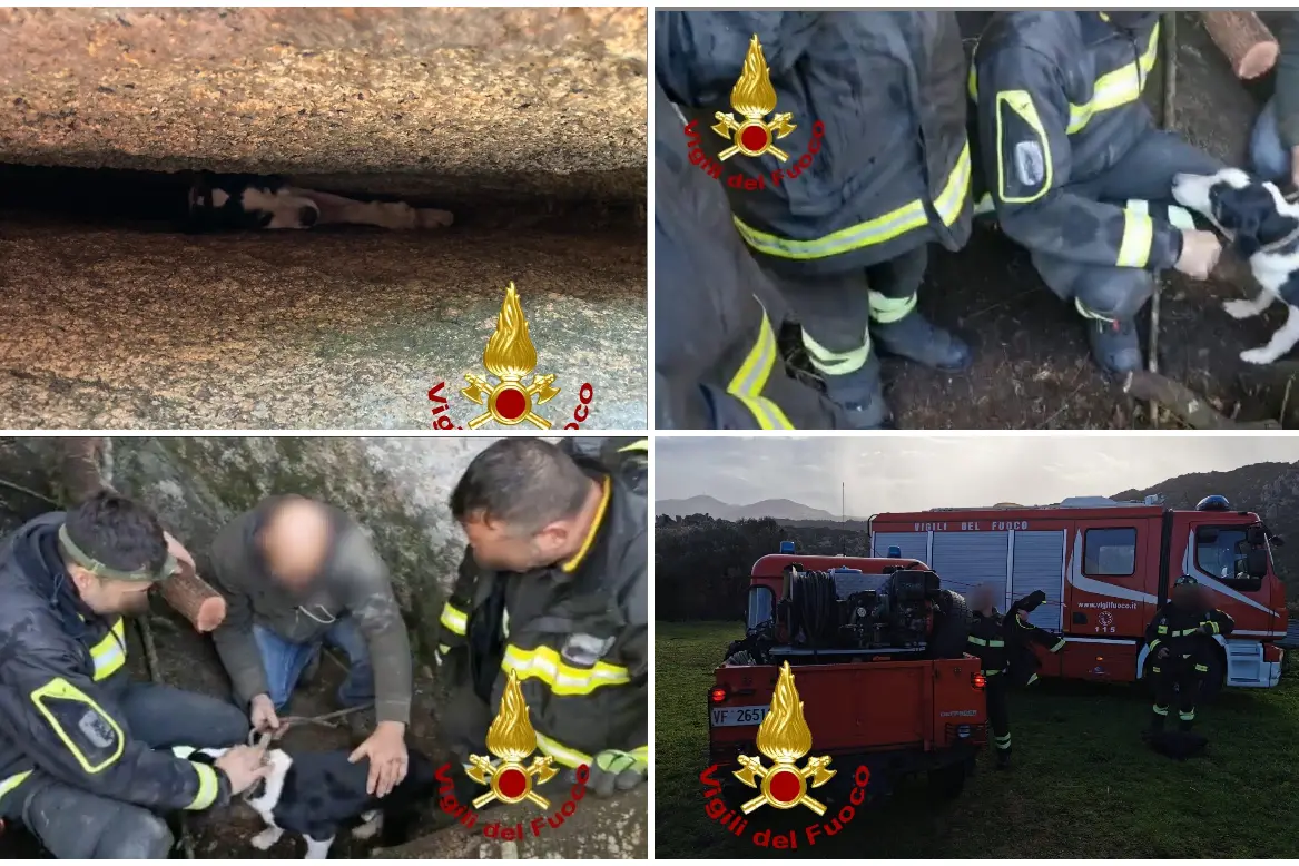 Il salvataggio dei vigili del fuoco (foto vigili del fuoco)