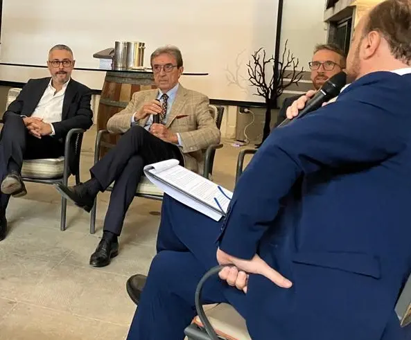 Il presidente mondiale degli enologi Riccardo Cotarella interviene nel dibattito dedicato all'annata 2023 (foto concessa)