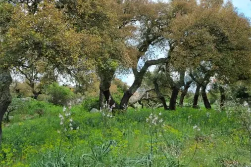 (foto ufficio stampa)