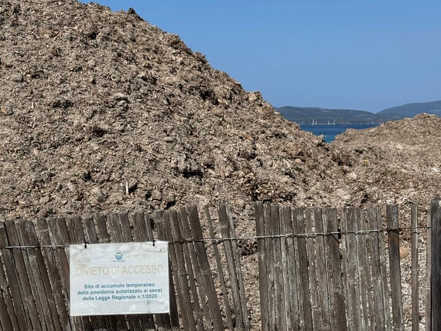 Un impianto per trattare la posidonia e salvare la sabbia, martedì il taglio del nastro
