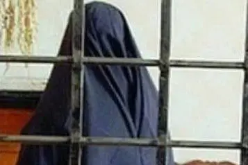 Immagine simbolo (foto da google)