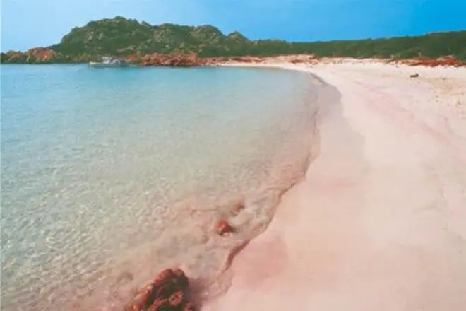 La Spiaggia Rosa dell'Isola di Budelli (Archivio L'Unione Sarda)