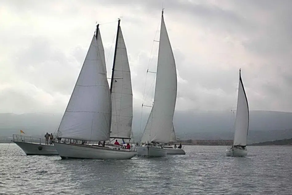 La regata velica