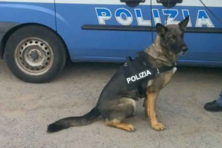 Polizia (foto Ansa)