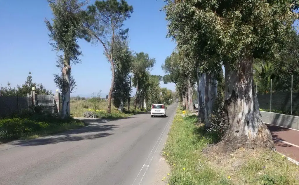 La strada in cui è avvenuto l'incidente (foto L'Unione Sarda - Ena)