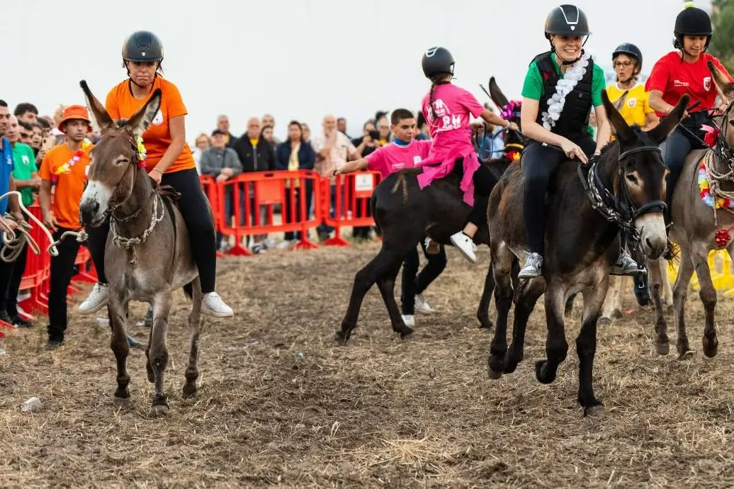 Palio Asinelli