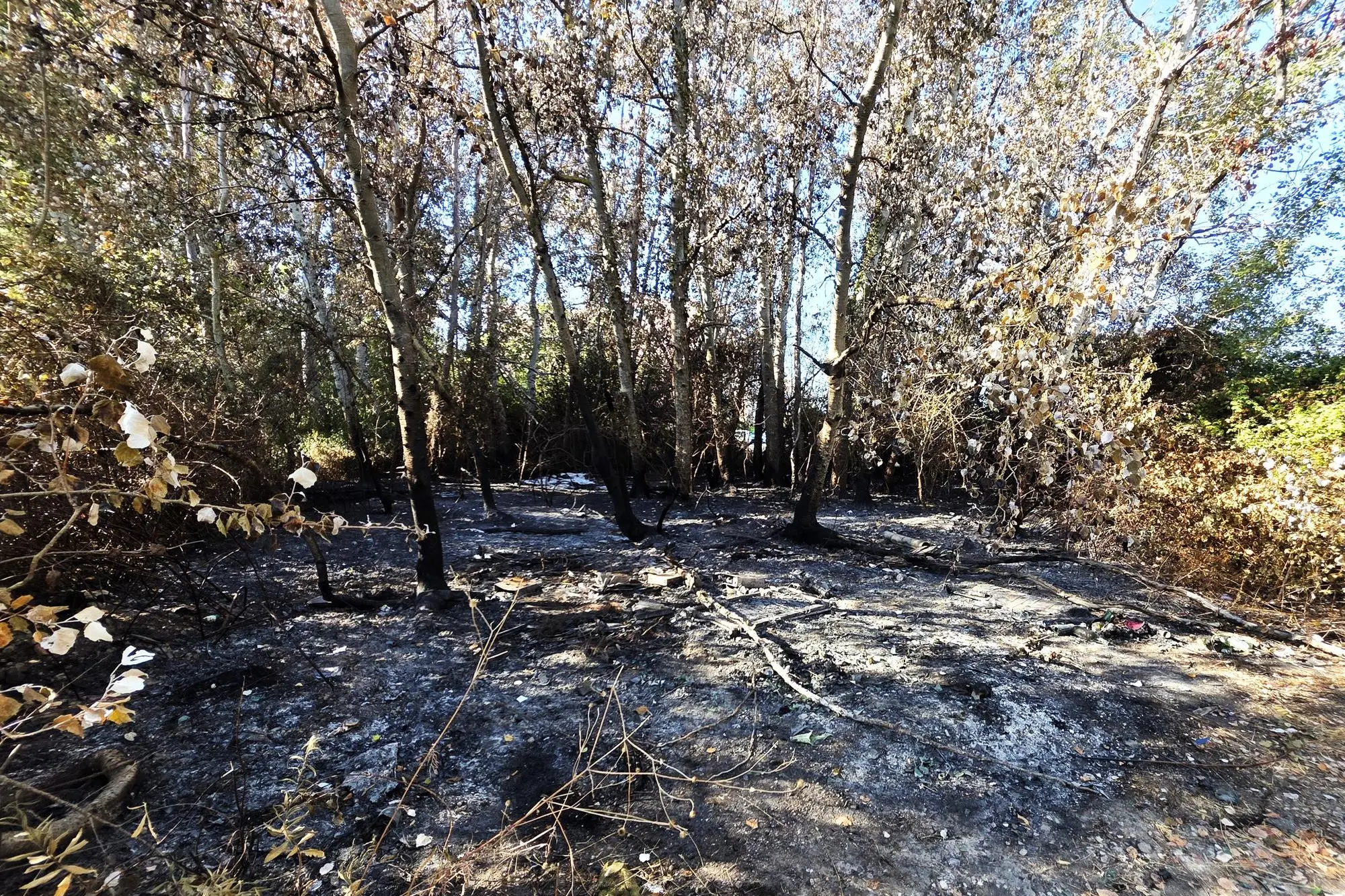 La cenere lasciata dall'incendio a Sant'Orsola vicino alla chiesa