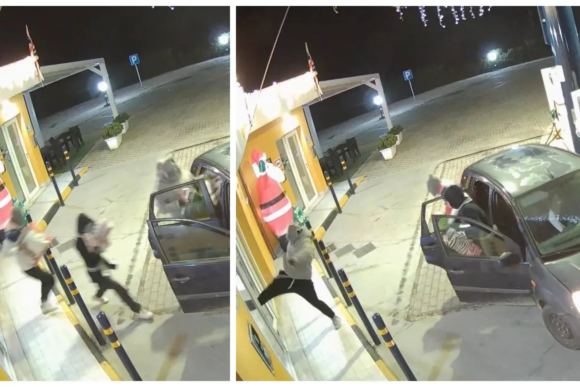 Diebe auf Videoaufnahmen (Facebook)