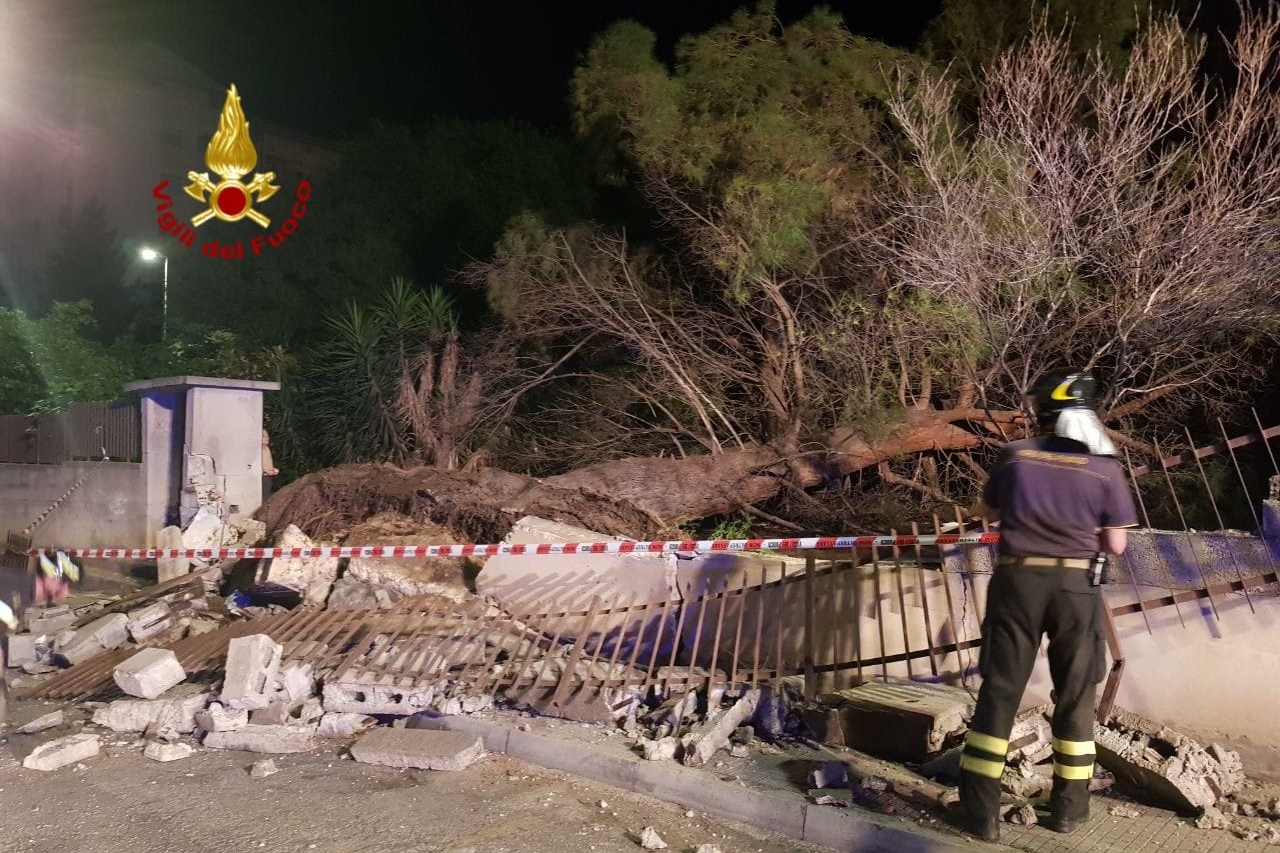 L'albero crollato in via Tintoretto a Cagliari (foto Vigili del fuoco)