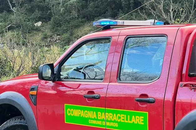 Barracelli