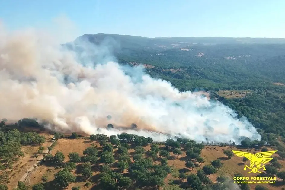 Incendio a Esporlatu (foto Corpo forestale)