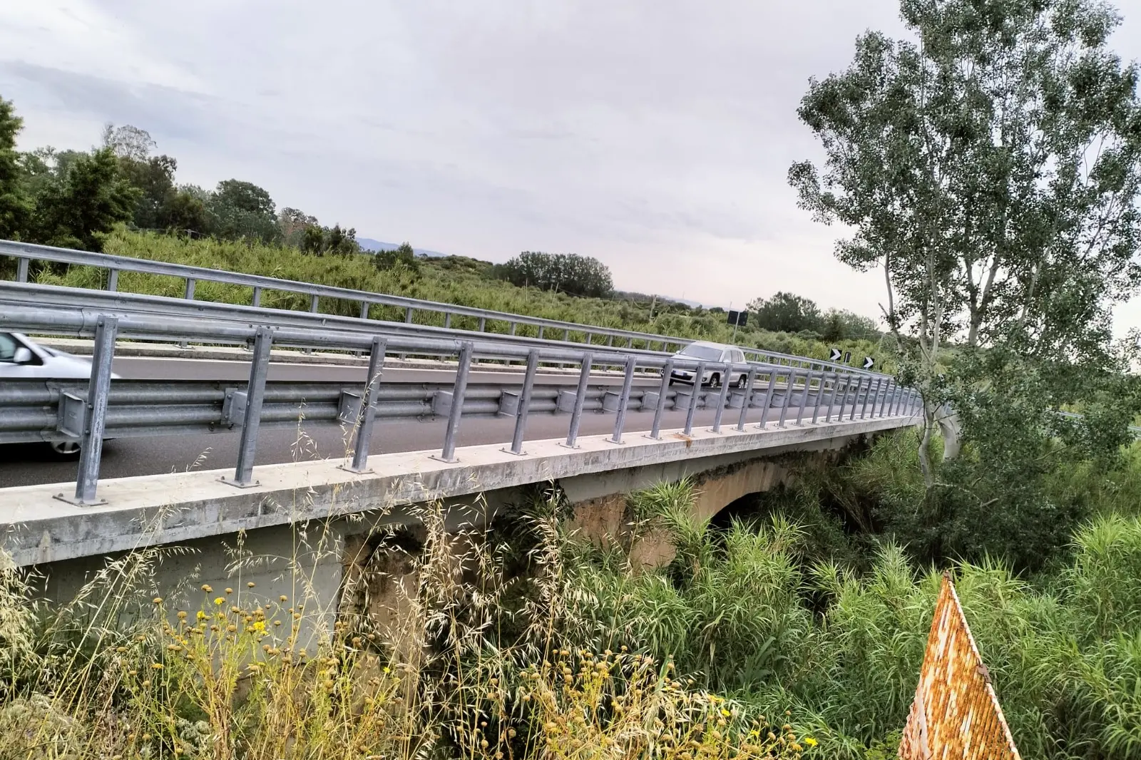 Il Terramaistus invaso dalle canne (foto Serra)