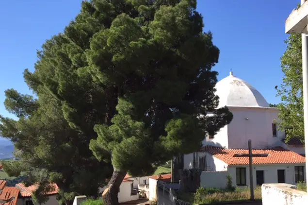 Il santuario di San Francesco nelle campagne di Lula (Archivio L'Unione Sarda)