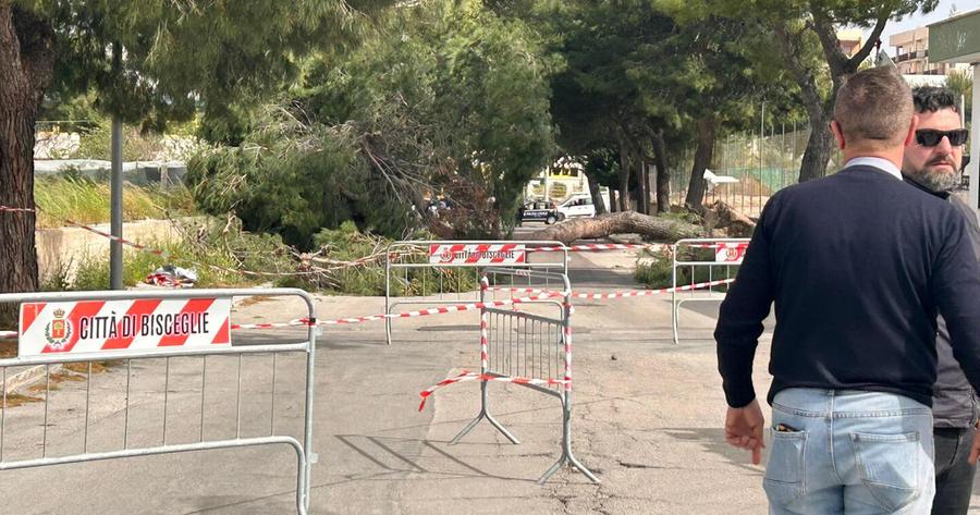 Travolti da alberi e pali: una 12enne e un operaio vittime della burrasca