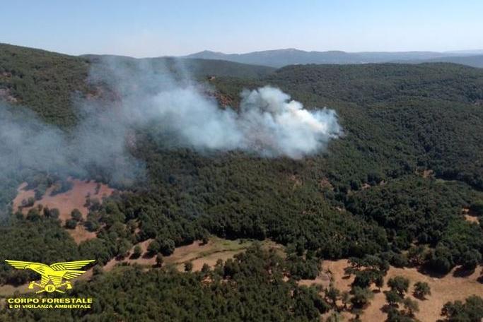 Undici incendi scoppiati in Sardegna, il più vasto a Tadasuni