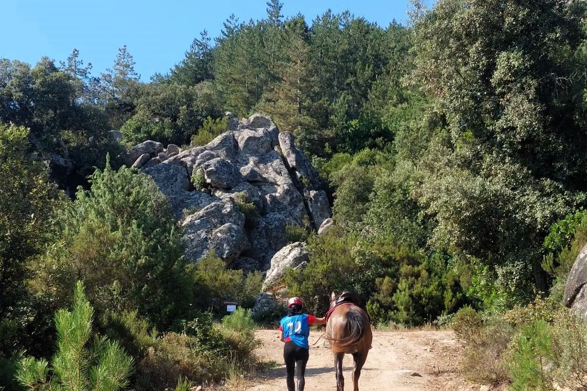 Un’immagine dalle gare di endurance nel parco di Tepilora