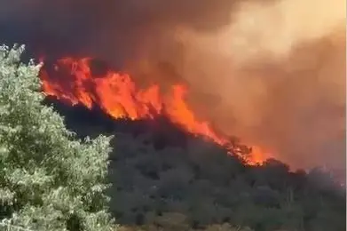 L'incendio a Burgos (Foto Corpo Forestale)