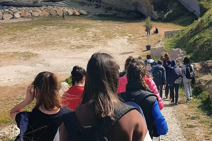 Gli studenti del Brunelleschi piantumano l'olivastro (foto Pala)