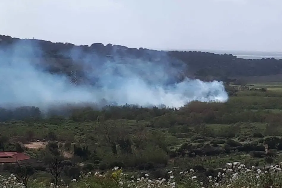 Un'immagine dal luogo dell'incendio (foto Antonella Pani)