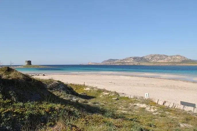 Litorale di Stintino (foto Pala)