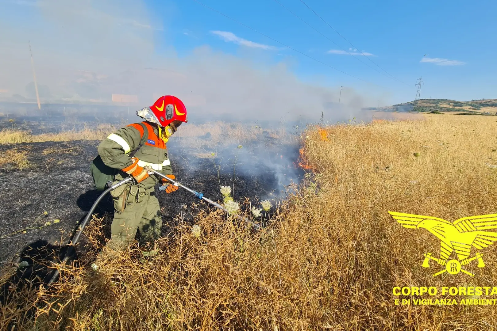 Gli incendi (foto Corpo forestale)