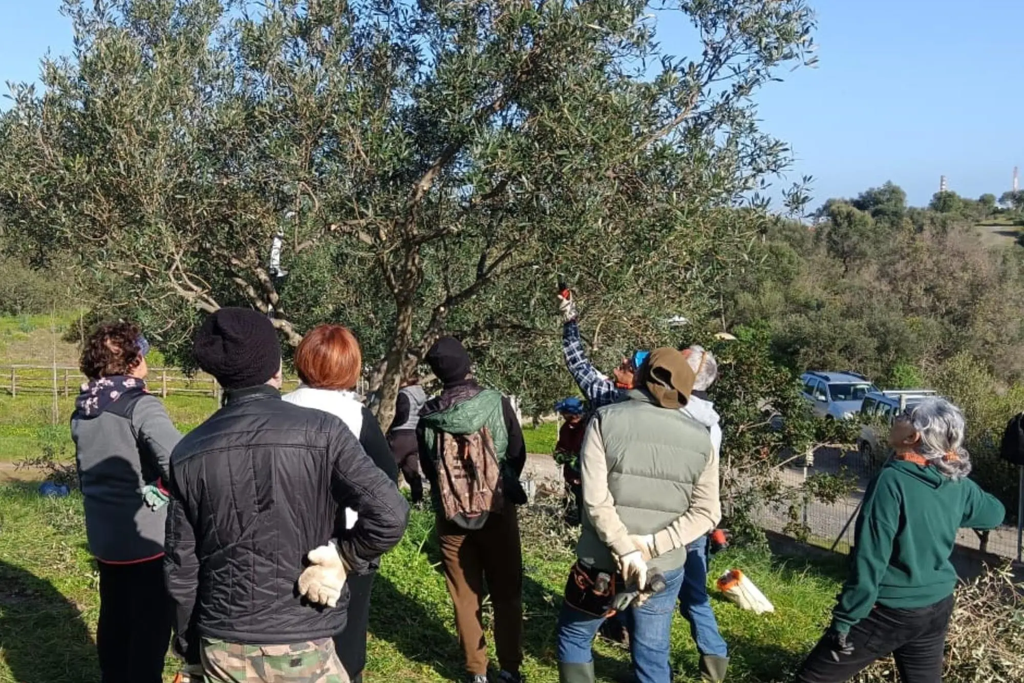 Una lezione di frutticultura (Murgana)